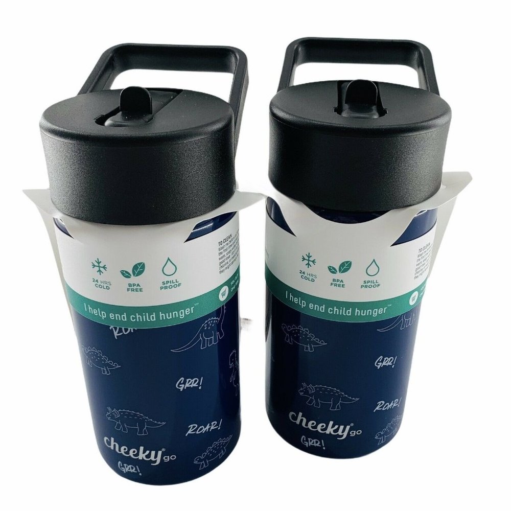 TWO Stainless Steel Spill Proof Dino Water Bottles